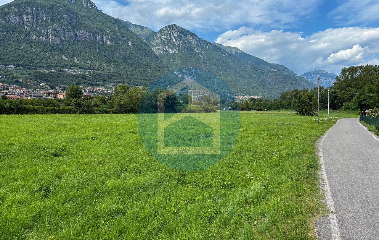 T. Agricolo Vendita TERRENO AGRICOLO IN VENDITA A COSTA VOLPINO - PIS1802