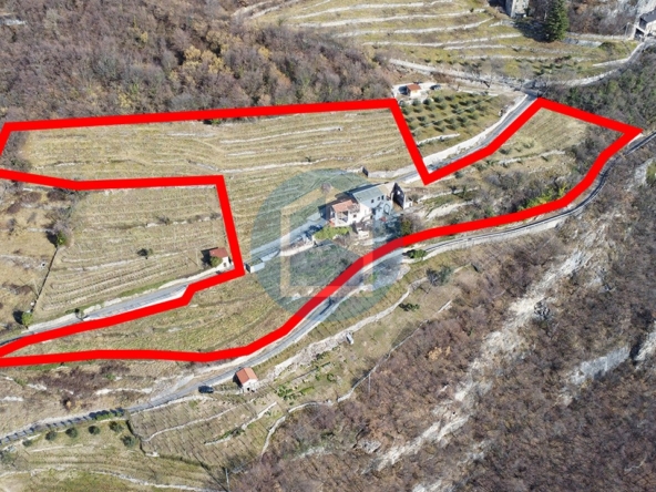 Cascina Vendita CASCINA CON VIGNETO IN VENDITA A MALEGNO/BRENO - T510