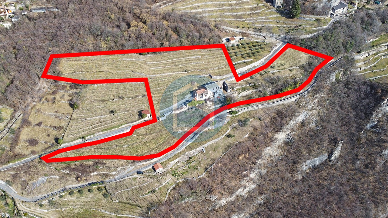 Cascina Vendita CASCINA CON VIGNETO IN VENDITA A MALEGNO/BRENO - T510