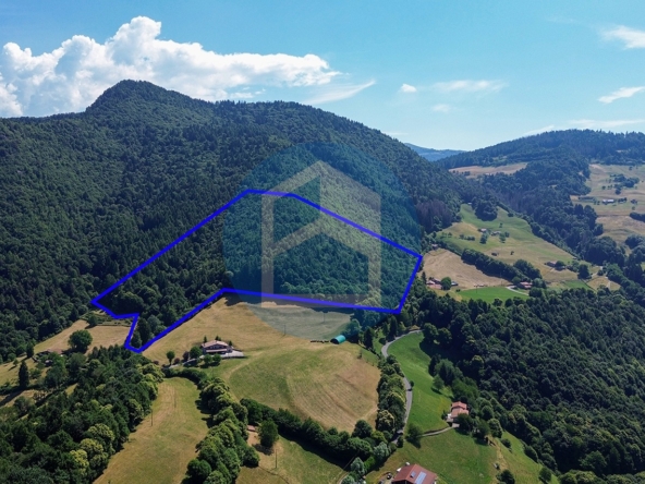 T. Agricolo Vendita T. AGRICOLO IN VENDITA A PISOGNE - GRIGNAGHE - PIS1800