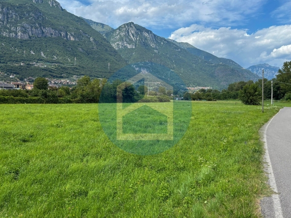 T. Agricolo Vendita TERRENO AGRICOLO IN VENDITA A COSTA VOLPINO - PIS1802