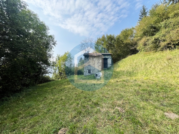 Cascina Vendita CASCINA CON TERRENO IN VENDITA A BOSSICO - PIS500