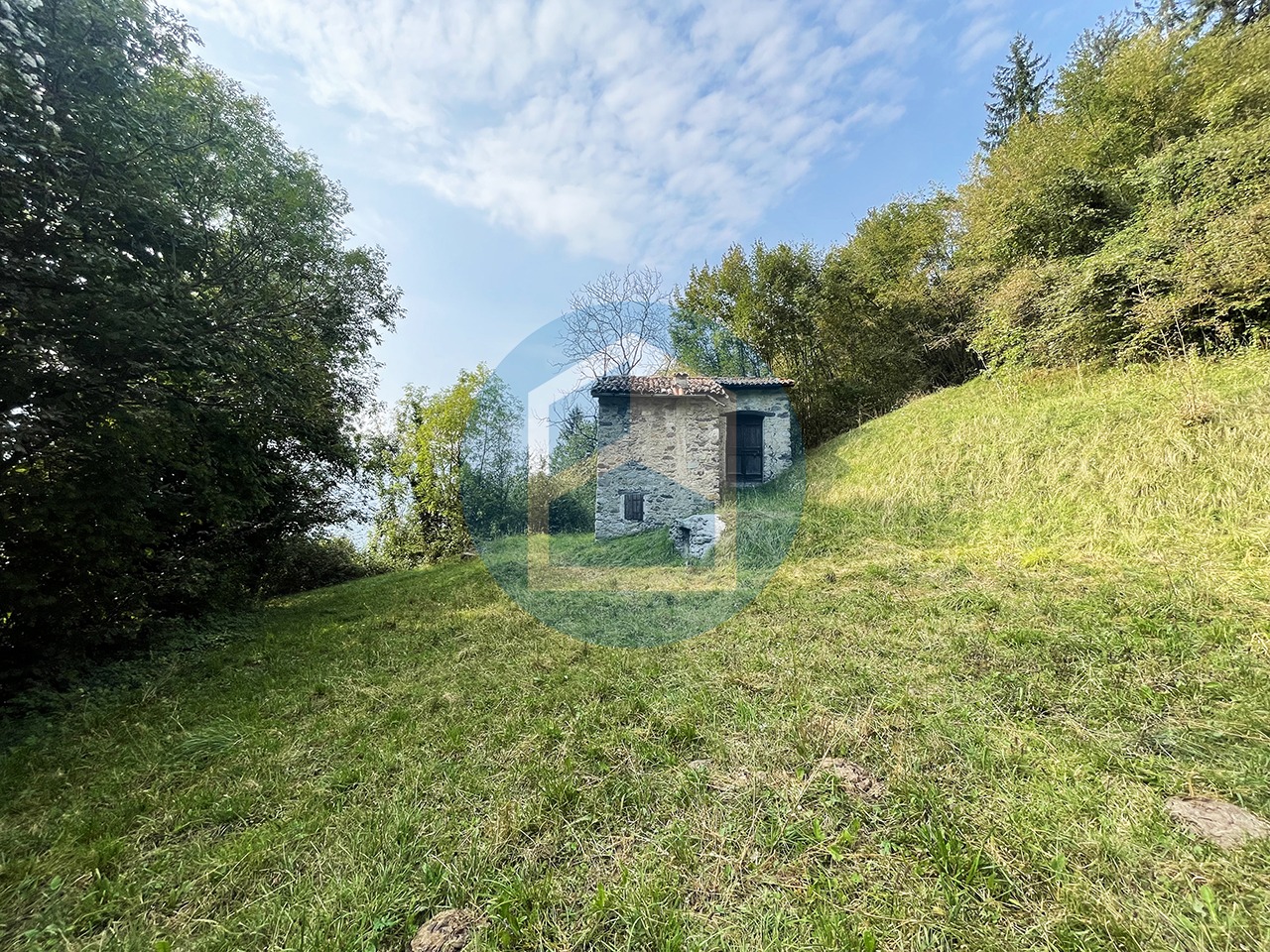 Cascina Vendita CASCINA CON TERRENO IN VENDITA A BOSSICO - PIS500