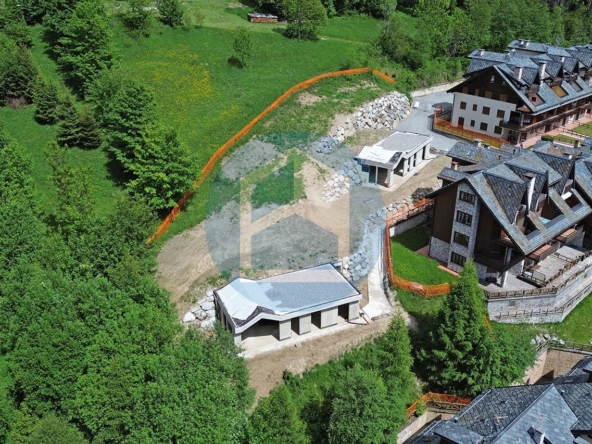 Villa Vendita VILLA SINGOLA IN VENDITA A PONTE DI LEGNO-DAR320/T4123