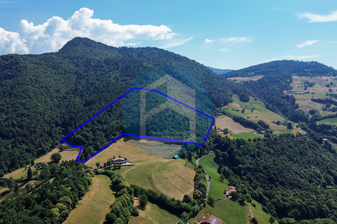 T. Agricolo Vendita T. AGRICOLO IN VENDITA A PISOGNE - GRIGNAGHE - PIS1800