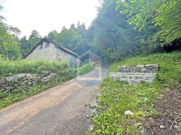 Cascina Vendita CASCINA IN VENDITA IN LOC.POIE (CETO) - BRE510/T211
