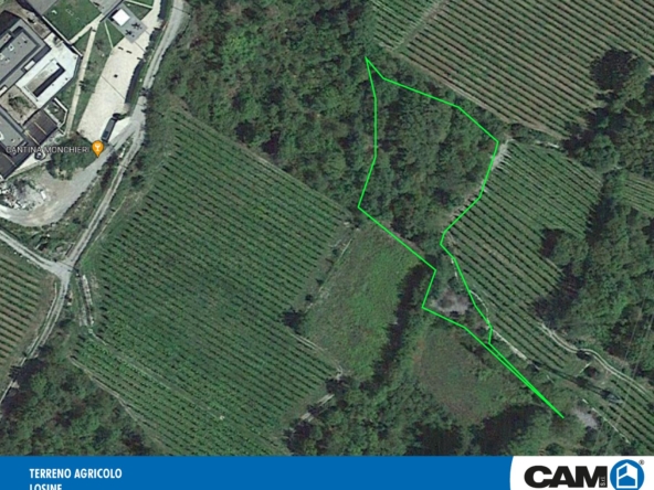 T. Agricolo Vendita TERRENO AGRICOLO - LOSINE - BRE1803/T077