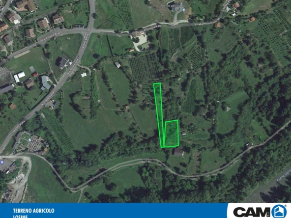 T. Agricolo Vendita TERRENO AGRICOLO IN VENDITA A LOSINE - BRE1802/T111