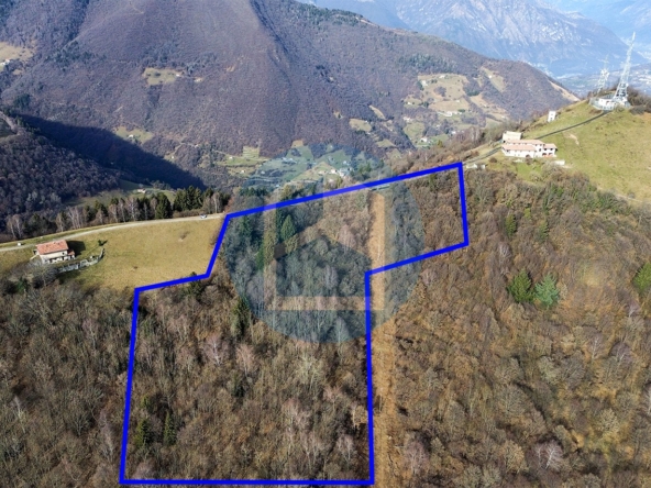 Cascina Vendita TERRENO AGRICOLO IN VENDITA A PARZANICA - PIS1803