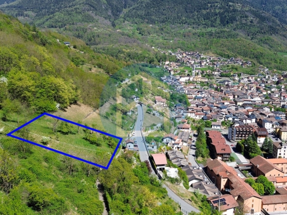 T. Residenziale Vendita T. EDIFICABILE IN VENDITA A EDOLO - BRE003/T142