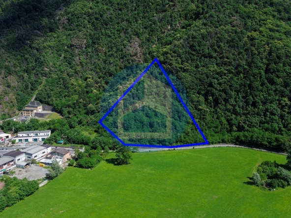 T. Agricolo Vendita TERRENO AGRICOLO IN VENDITA A DARFO - BRE1803/T147