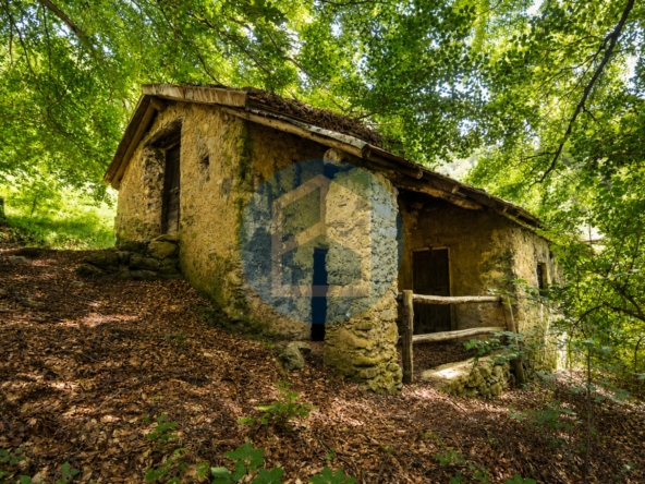 Cascina Vendita CASCINA CON TERRENO IN VENDITA A LOZIO - BRE509/T0046