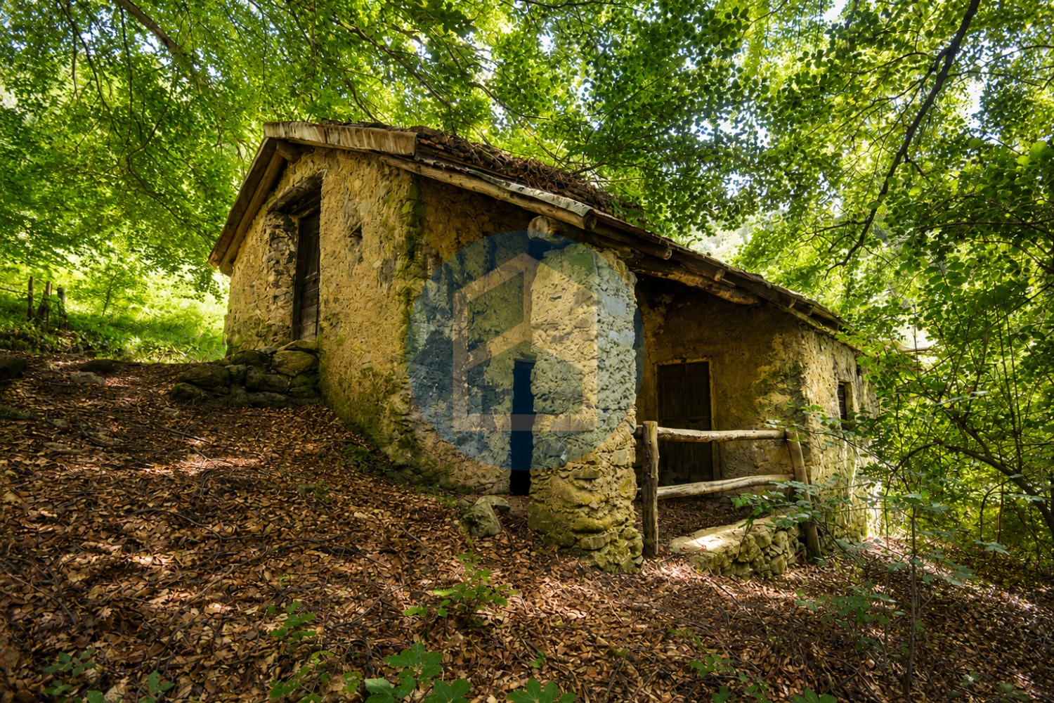 Cascina Vendita CASCINA CON TERRENO IN VENDITA A LOZIO - BRE509/T0046